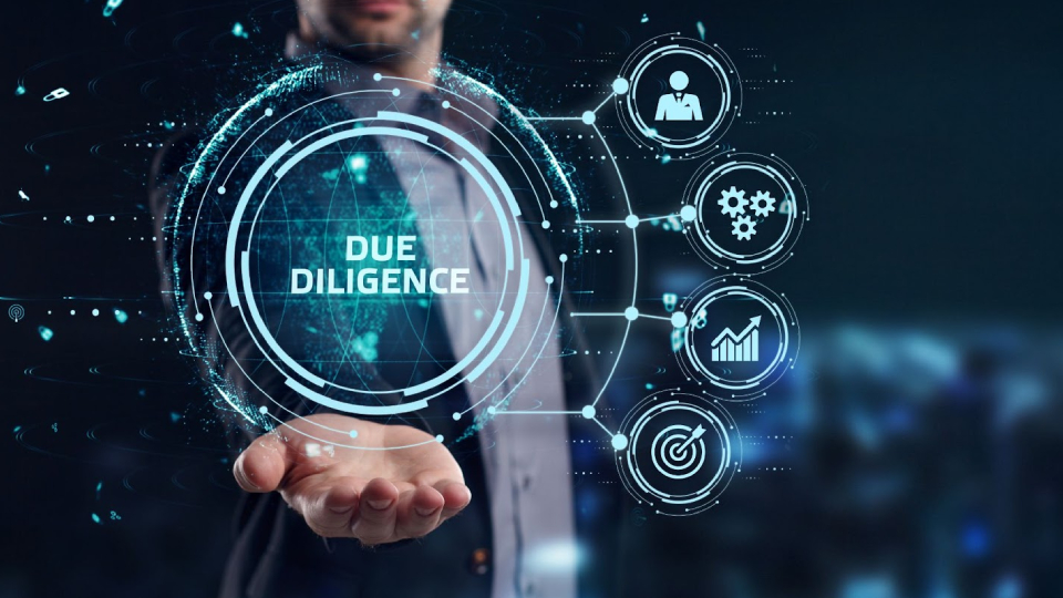 Due Diligence Support