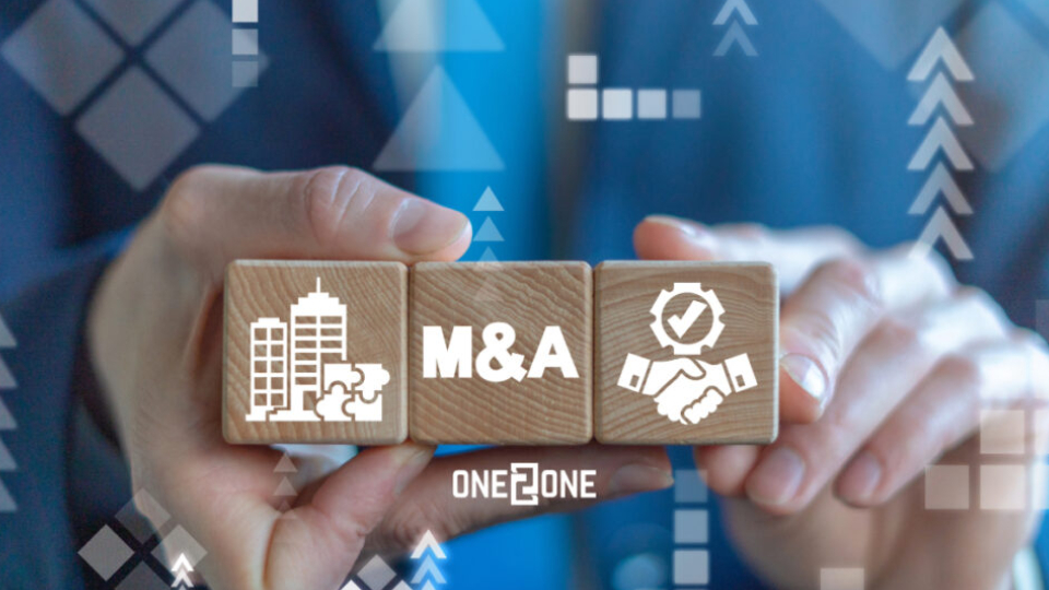 Mergers & Acquisitions (M&A) Support